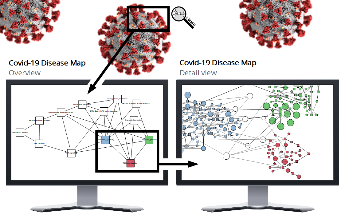 Example image to show how to use LMME with disease maps.